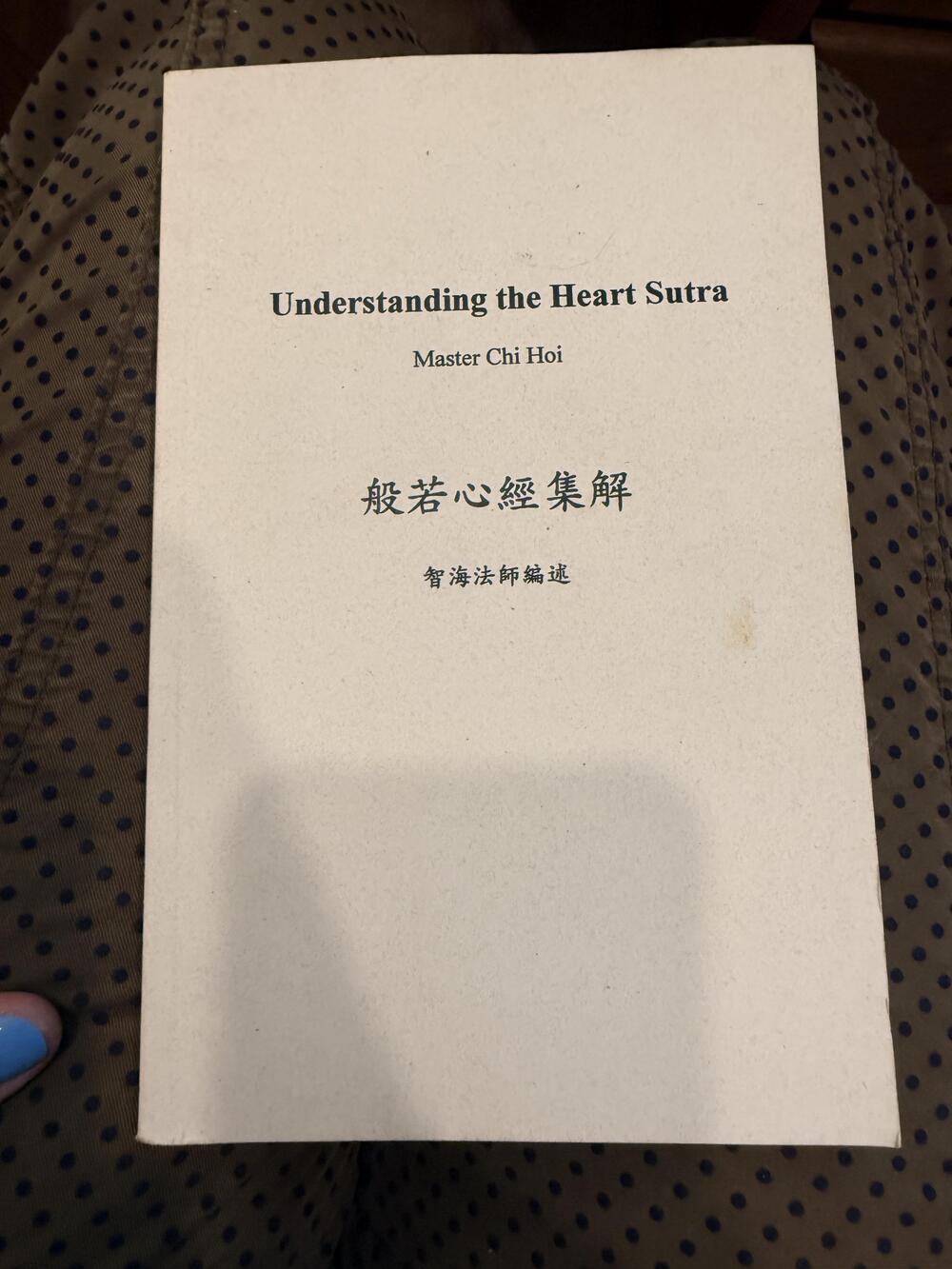 Understanding The Heart Sutra Master Chi Hoi Buddhist Wisdom PB White 2006